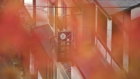 Focus pull - Kyoto Autumn Colors Stock Footage 239239223