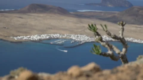 Focus Pull from Plant to La Graciosa Harbor Boat Canary Islands 스톡 동영상 331668904