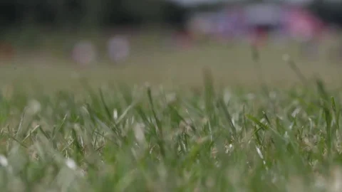 Focus Pull Race For Life Stock Footage 91393819