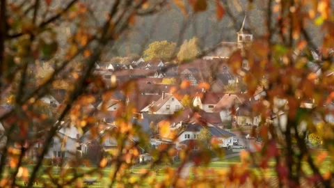 Focus pull: rural homes and church of village Katzweiler to blackthorn shrub Stock Footage 143607302