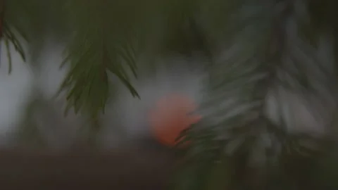 Focus pull shot of fire burning in outdoor fireplace in wintery setting Stock Footage 146267297