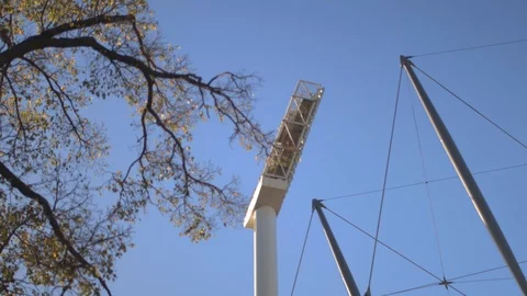 Focus pull slide from tree branche to MCG light Stock Footage 106599974