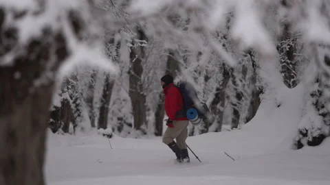 Focus Pull from Snow Covered Tree to Walking Hiker Video stock 315886836