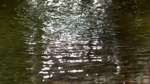 Focus pull: Sparkling surface of flowing water, dancing spots of light (bokeh) Stock Footage 76802614