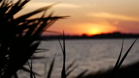 Focus Pull Into Sunset Stock Footage 237963133