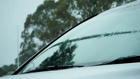 Focus Pull from Swaying Trees to Rain on Car Windshield, Atmospheric Scene Stock Footage 330726547