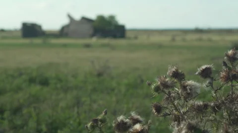 Focus pull thistle to ruin Stock Footage 53848610