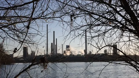 Focus pull through branches to riverside factory Stock Footage 331201278