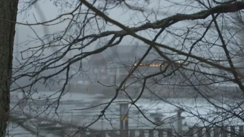 Focus pull through trees to cosy looking cabin on the edge of a lake Stock Footage 146270310