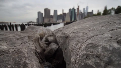 Focus-Pull Time-lapse from Brooklyn Bridge Park and NYC Skyline Stock Footage 95400893