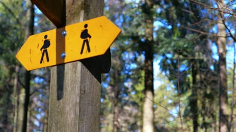 Focus pull on a yellow signboard for a hiking trail Stock Footage 169366913
