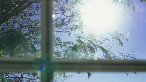 Focus pulling from a tree and sun flare outside to the interior window in 库存影片 101962200