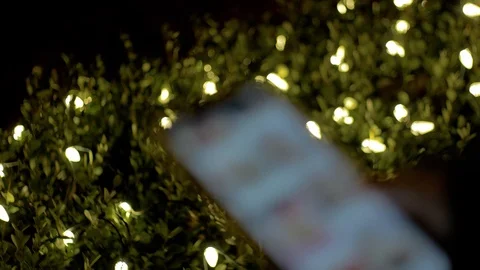 Focus Pulls from Lighted Shrubs to a Girl Scrolling on her Smartphone, 4K Stock Footage