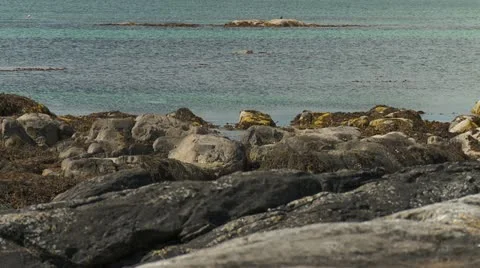 Focus pulls on the rockpools of the Scottish Isle of Uist 库存影片 11853076