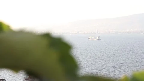 Focus Rack from Leaf to Cargo Ship at Aegean Sea Stock Footage 214473617