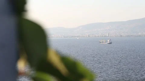 Focus Rack from Leaf to Cargo Ship at Aegean Sea (Slowmotion) Stock Footage 214473700