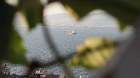 Focus Rack from Leaves to Cargo Ship at Aegean Sea (Slow Motion) Stock Footage 214473587