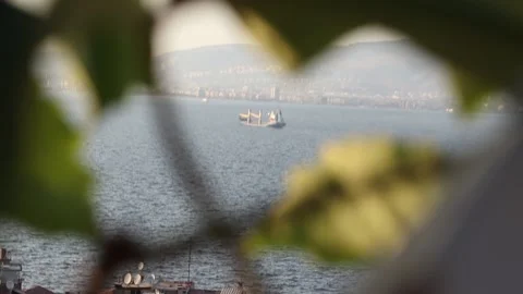 Focus Rack from Leaves to Cargo Ship at Aegean Sea (50 fps) Stock Footage 214473663