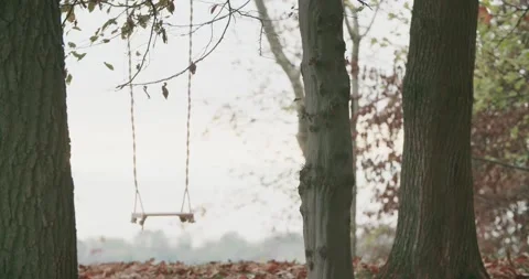 Focus rack on for a lonely swing under a tree in a foggy autumn day. slow motion 動画素材 141358805