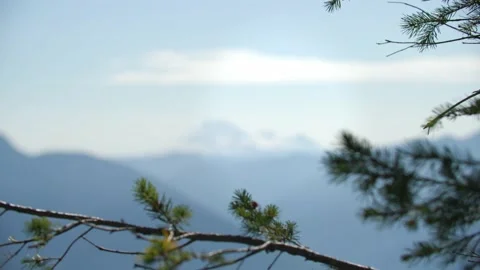 Focus rack from trees to mountain range 库存影片 218387750