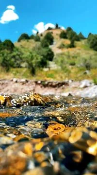 A focus on a river in nature Stock Photos