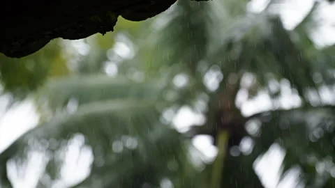 Focus on a roof with trees in the background during rain Vídeo Stock 266319261
