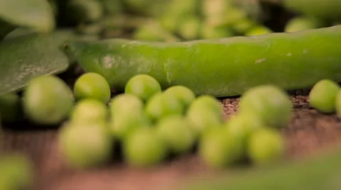 The focus for scattered peas Stock Footage 61215172