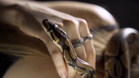 Focus on serpent crawling. Old witch with magic ball foreseeing future Video stock 220649269