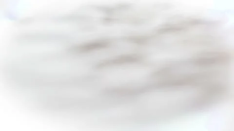 Focus shift in macro over a wet tissue Vidéo 8849313