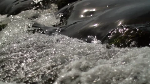 Focus shift shot of a small creek where the waters of the creek runs fast Stock Footage 86741045