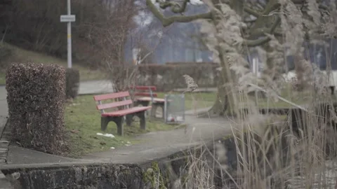 Focus Shift Starting At Red Benches And Slowly Moving To The Reed Stock Footage 147130694
