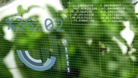 Focus shift starting rotating pie forming herbs as base, grid fading data Stock Footage 334242500