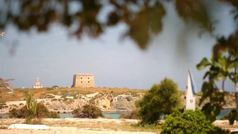 Focus shift with a tree and a castle on Tabarca Island. Stock Footage 152790327