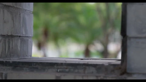 Focus Shift from Window Frame to Outdoor Greenery for Mindfulness Background Use Stock Footage 327797765