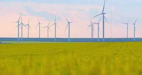 Focus shift from yellow rape flowers field to wind turbines Stock Footage 318181467