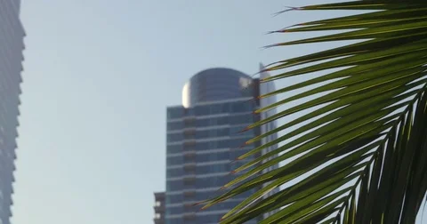 Focus on Skycraper in San Francisco Video stock 78322487