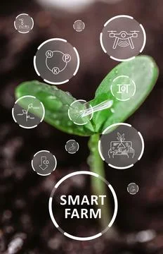 Focus on sprout with smart farm technology icons in background during growth Stock Photos