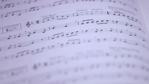 Focus on a staff Stock Footage 137852355