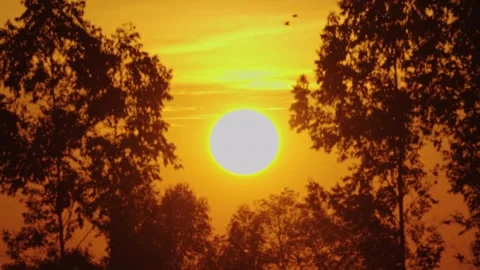 Focus on the sun. Time Lapse of Rice fields and sunset Stock Footage 303044431