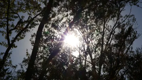 Focus in on a sunburst 動画素材 287414142