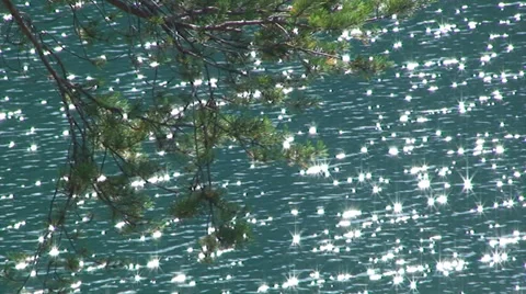 Focus switch between lake and tree branch - Bavaria Stock Footage 33477569