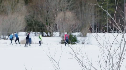 Focus transition form a tree to kids playing ice hockey in slow motion Stock Footage 85066849