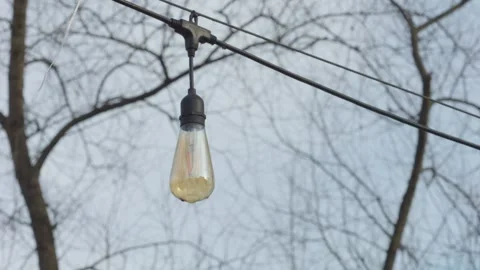 Focus-transition of a light bulb on a wire among branches by the lakeshore Stock-Footage 297218260