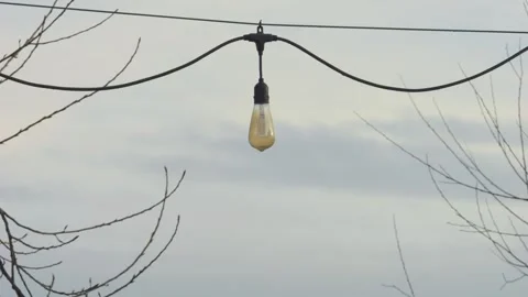 Focus-transition of a light bulb on a wire among branches by the lakeshore Stock-Footage 297218262