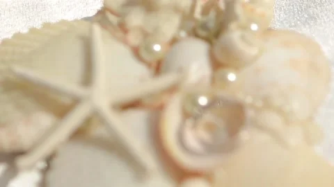 Focus transition, seashells, starfish, rings Stock Footage 130811567