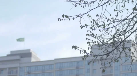 Focus on tree branch to long shot of flags on white building Stock Footage 63867488