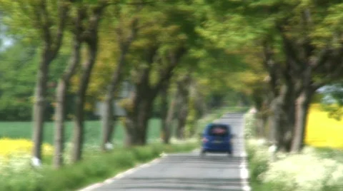 Into Focus a Tree Lined road with vehicles, Germany Stock Footage