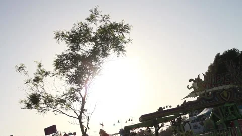 Focus in to a tree by the Viper ride Stock Footage 154569970