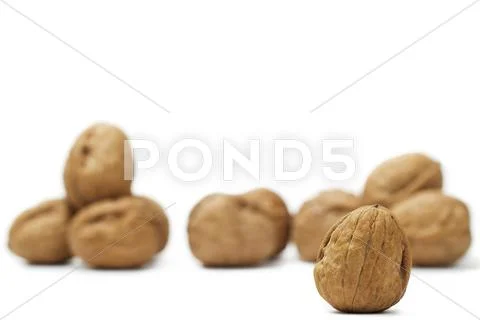 Focus on a walnut in front of others Stock Photos
