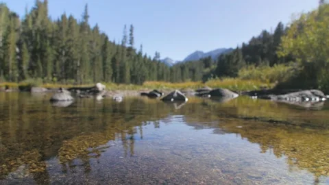Focus at water of calm stream river in foreground. Stock Footage 146028547
